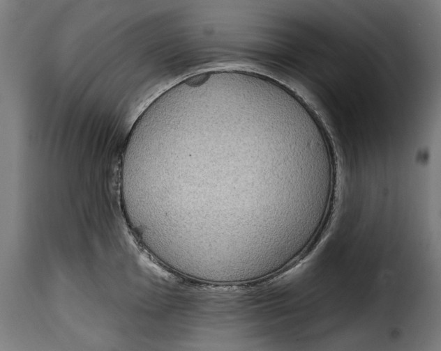 X0000114991001200911231137