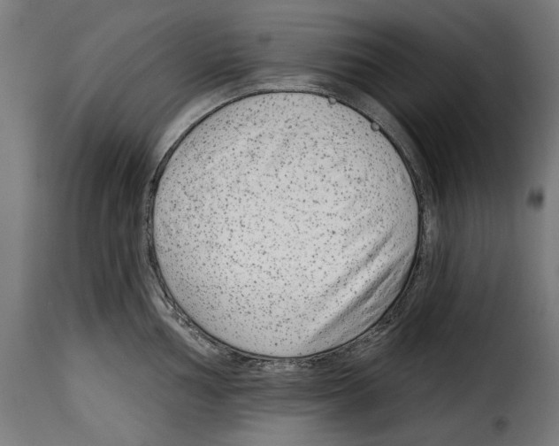 X0000114991002200911231137