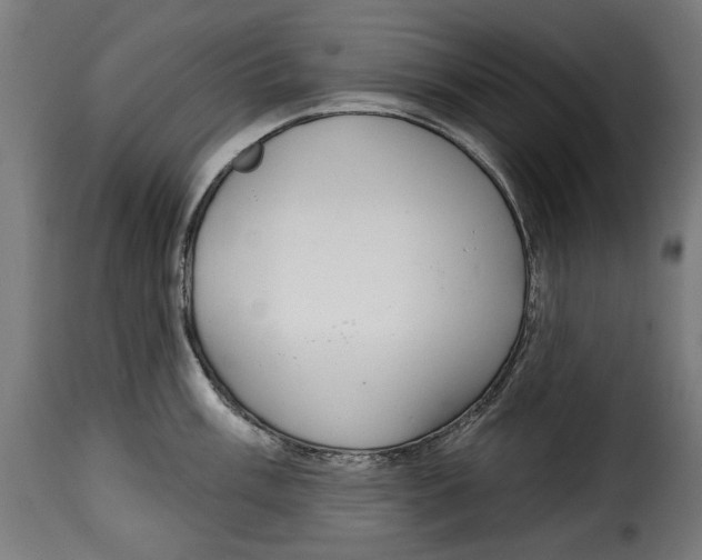 X0000114991003200911231137