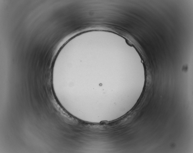 X0000114991004200911231137