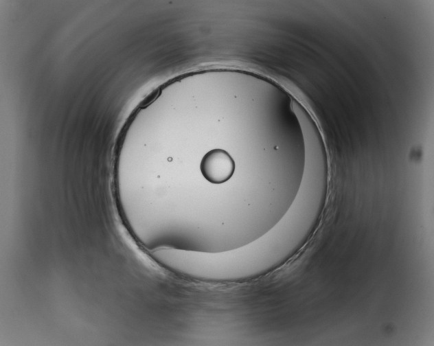 X0000114991005200911231137