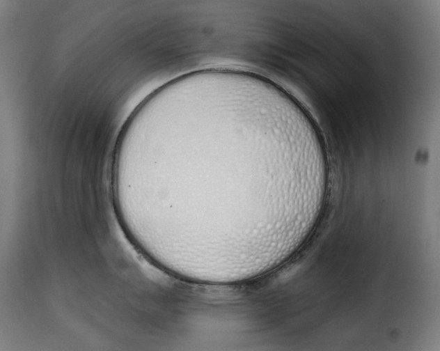 X0000114991007200911231137