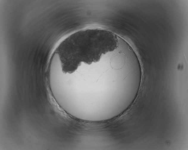 X0000114991008200911231137