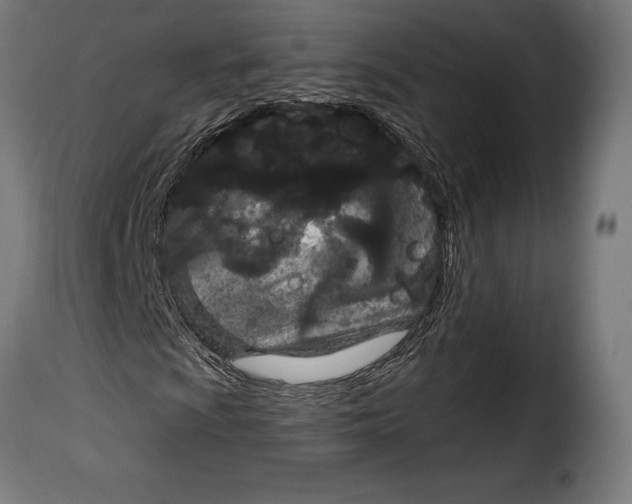 X0000114991009200911231136