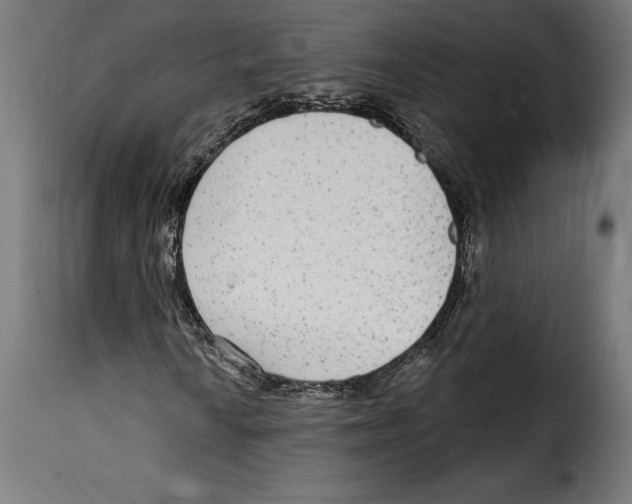 X0000114991010200911231136