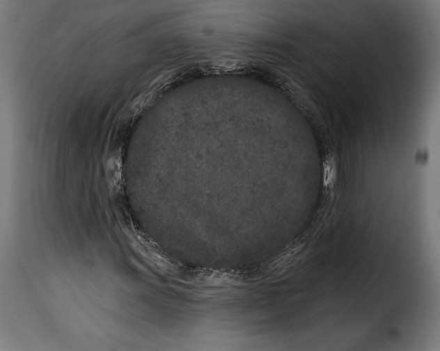 X0000114991011200911231136