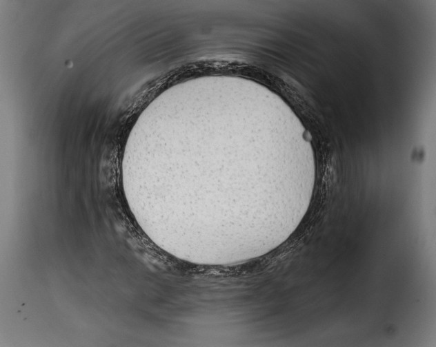 X0000114991014200911231136