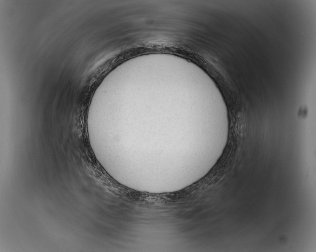 X0000114991015200911231136