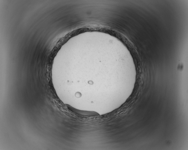 X0000114991016200911231136