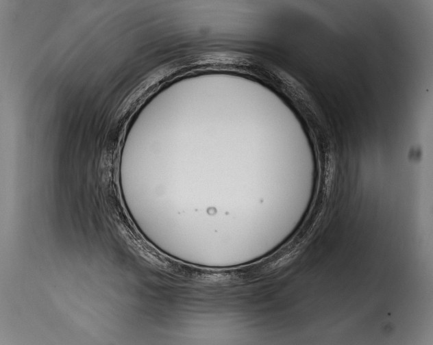 X0000114991017200911231136