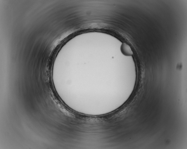 X0000114991018200911231136