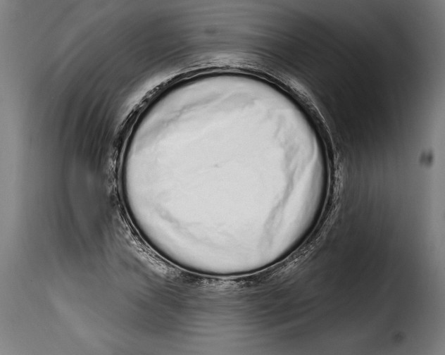 X0000114991019200911231136