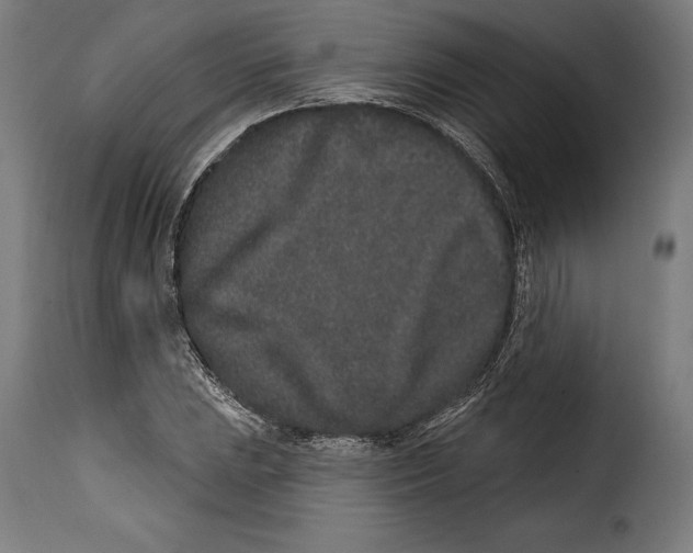 X0000114991023200911231137