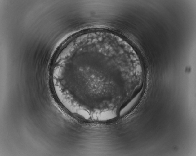 X0000114991024200911231137