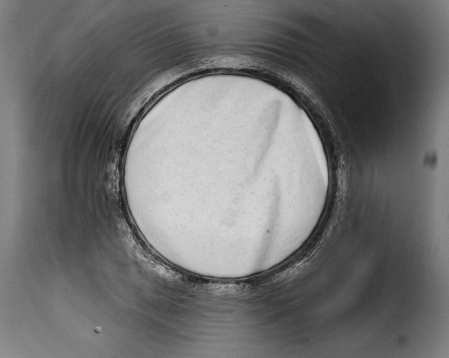 X0000114991025200911231137