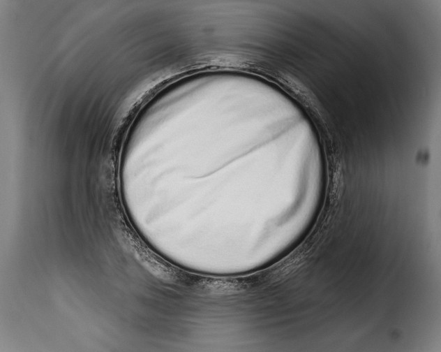 X0000114991027200911231137