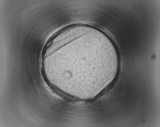 X0000114991028200911231137