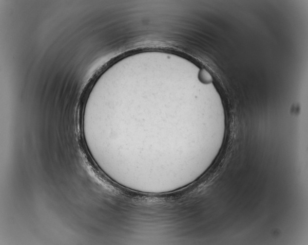 X0000114991030200911231137