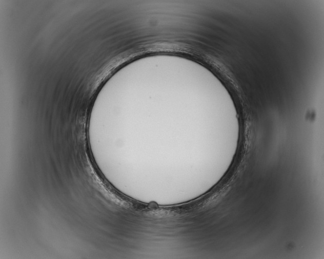 X0000114991033200911231137