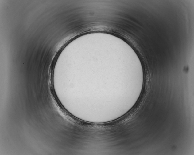 X0000114991034200911231137