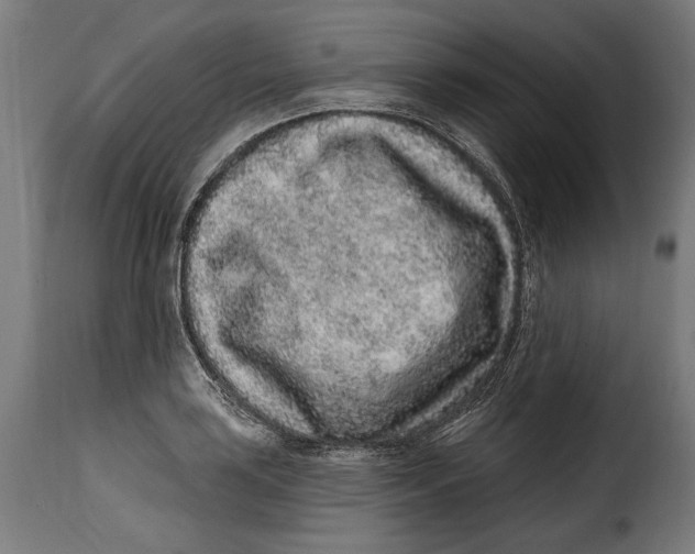 X0000114991035200911231137