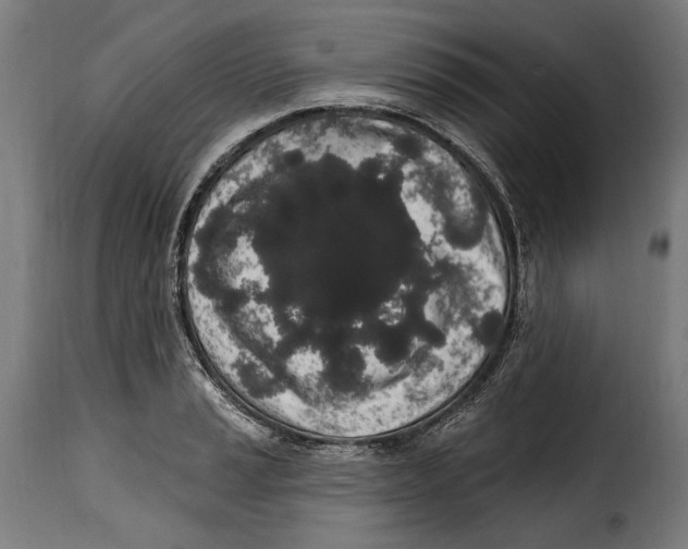 X0000114991037200911231137