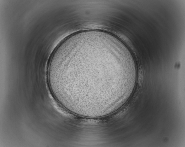 X0000114991039200911231137