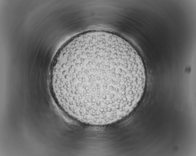 X0000114991040200911231137