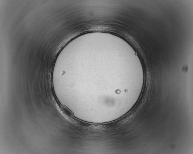 X0000114991041200911231137