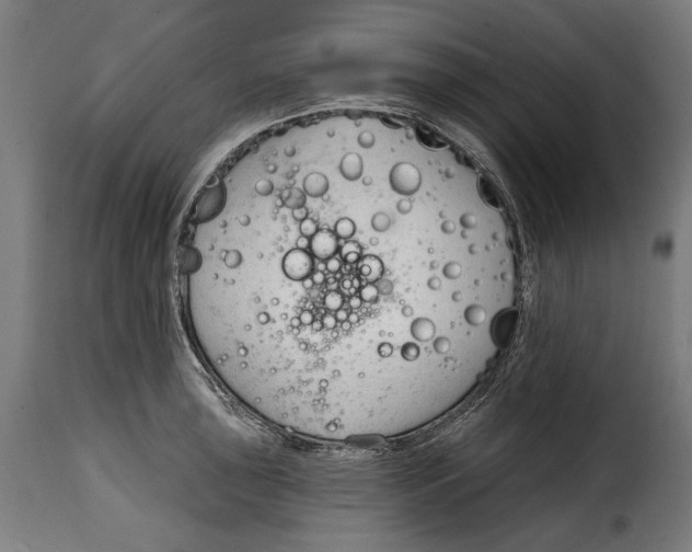 X0000114991043200911231137