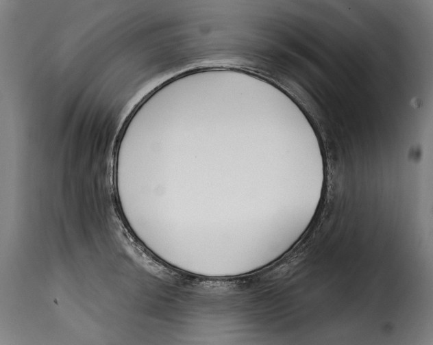 X0000114991044200911231137