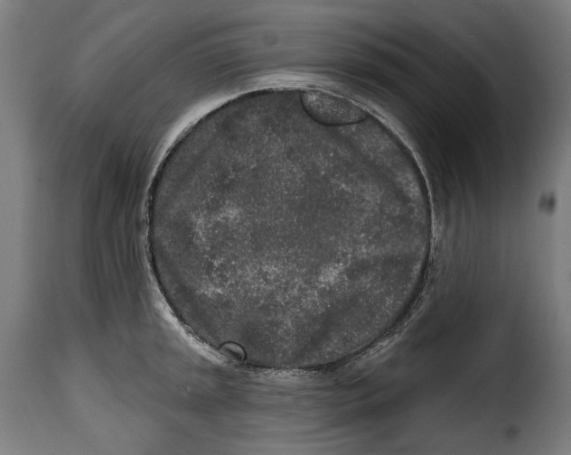 X0000114991045200911231137