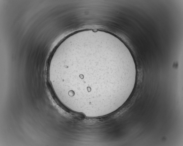 X0000114991046200911231137