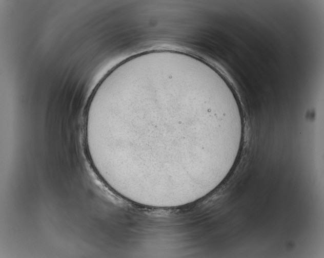 X0000114991048200911231137