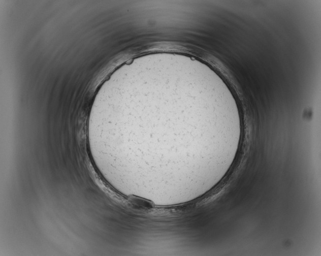 X0000114991049200911231137