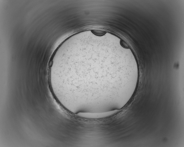 X0000114991050200911231137