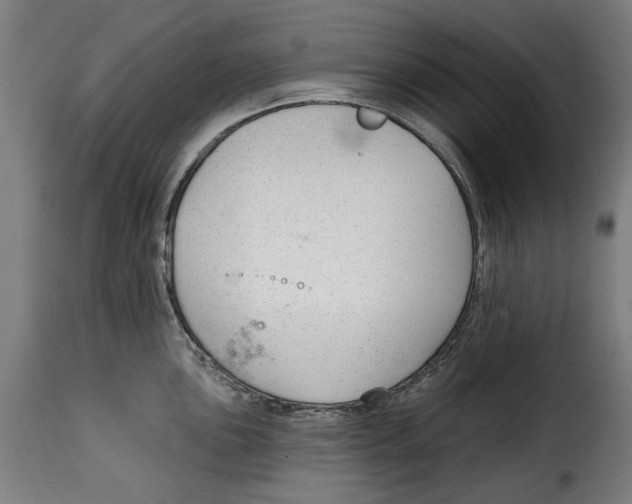 X0000114991051200911231137