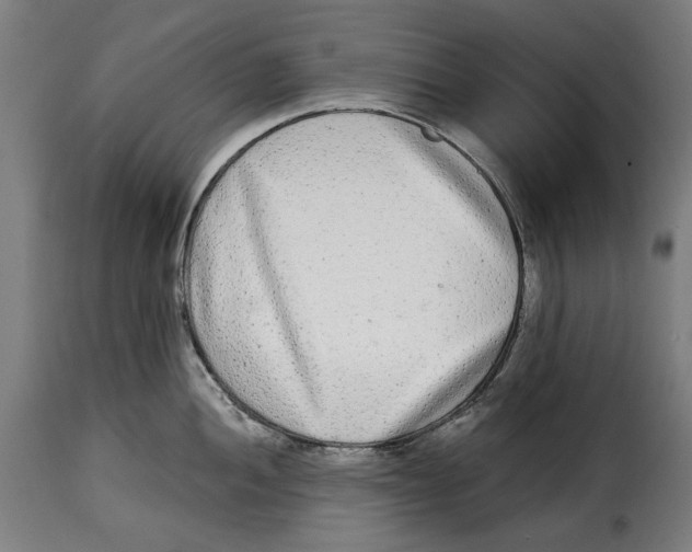 X0000114991052200911231137