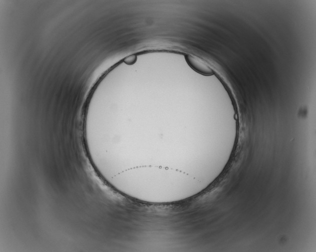 X0000114991053200911231137