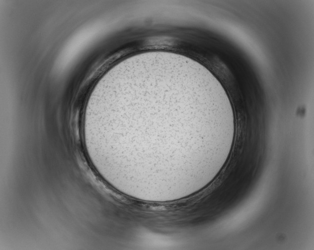 X0000114991054200911231137