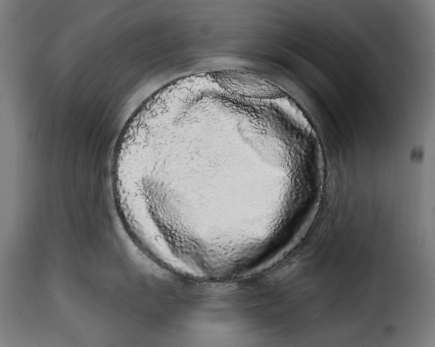 X0000114991055200911231137