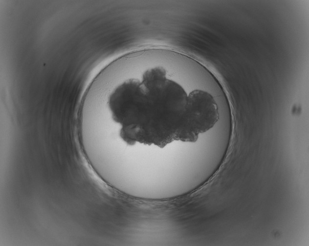 X0000114991056200911231137