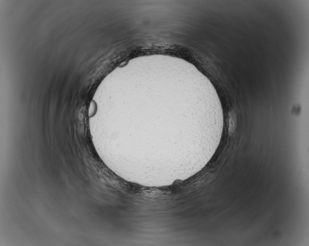 X0000114991059200911231136