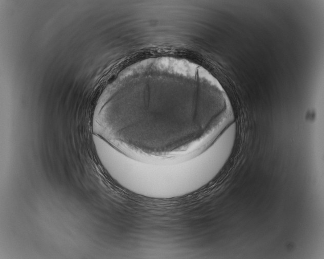 X0000114991060200911231136