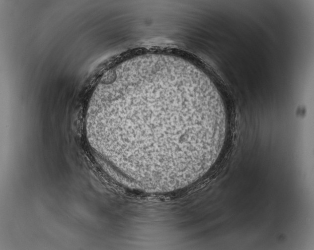 X0000114991063200911231136