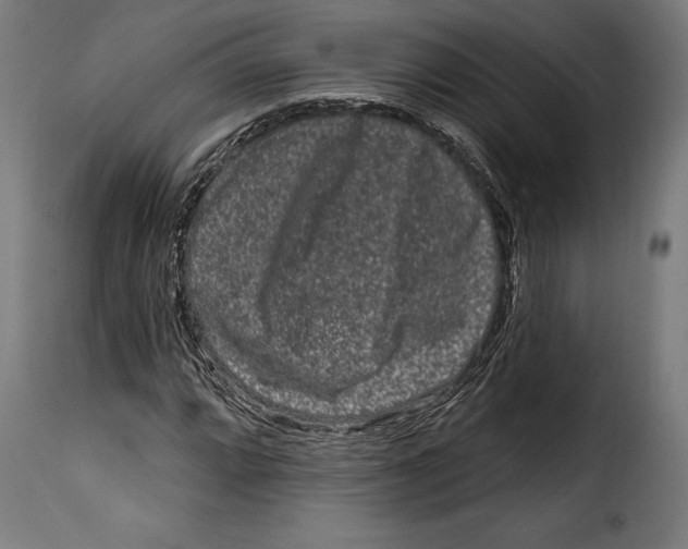 X0000114991064200911231136