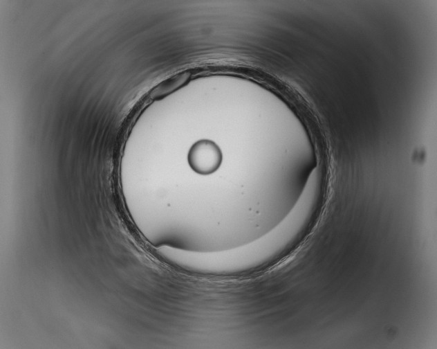 X0000114991065200911231136