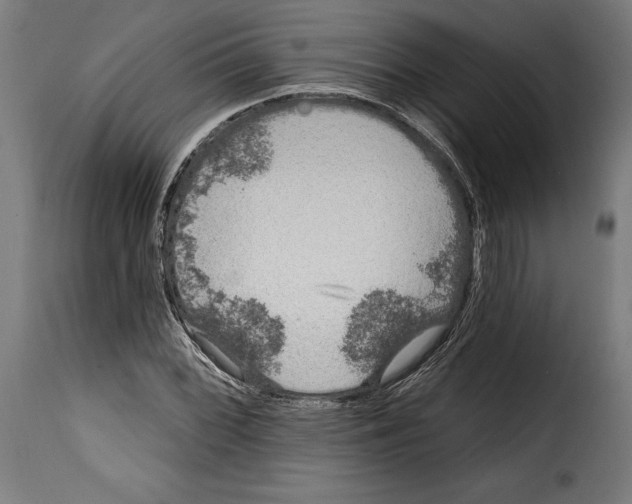 X0000114991068200911231136