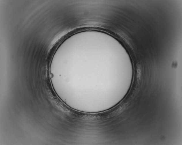 X0000114991069200911231136