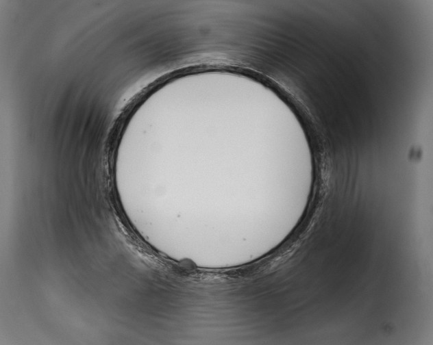 X0000114991070200911231136